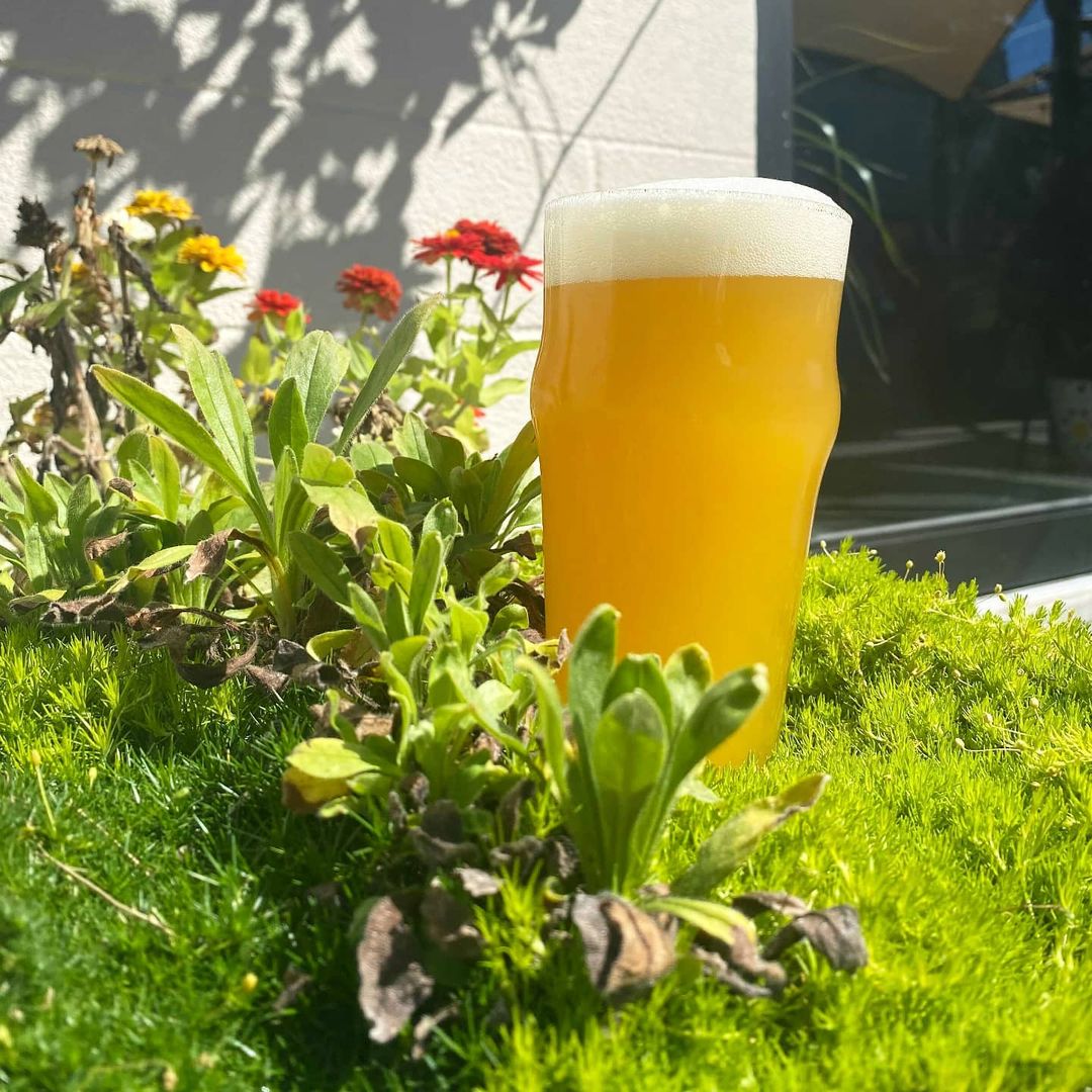 MR. THUNDERMAKER | Double White Wheat | 7.3% - Twin Elephant Brewing ...