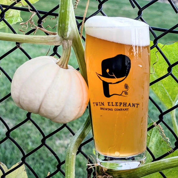 PUMPKIN PUB LAGER | Pumpkin Spiced Lager | 5.3%