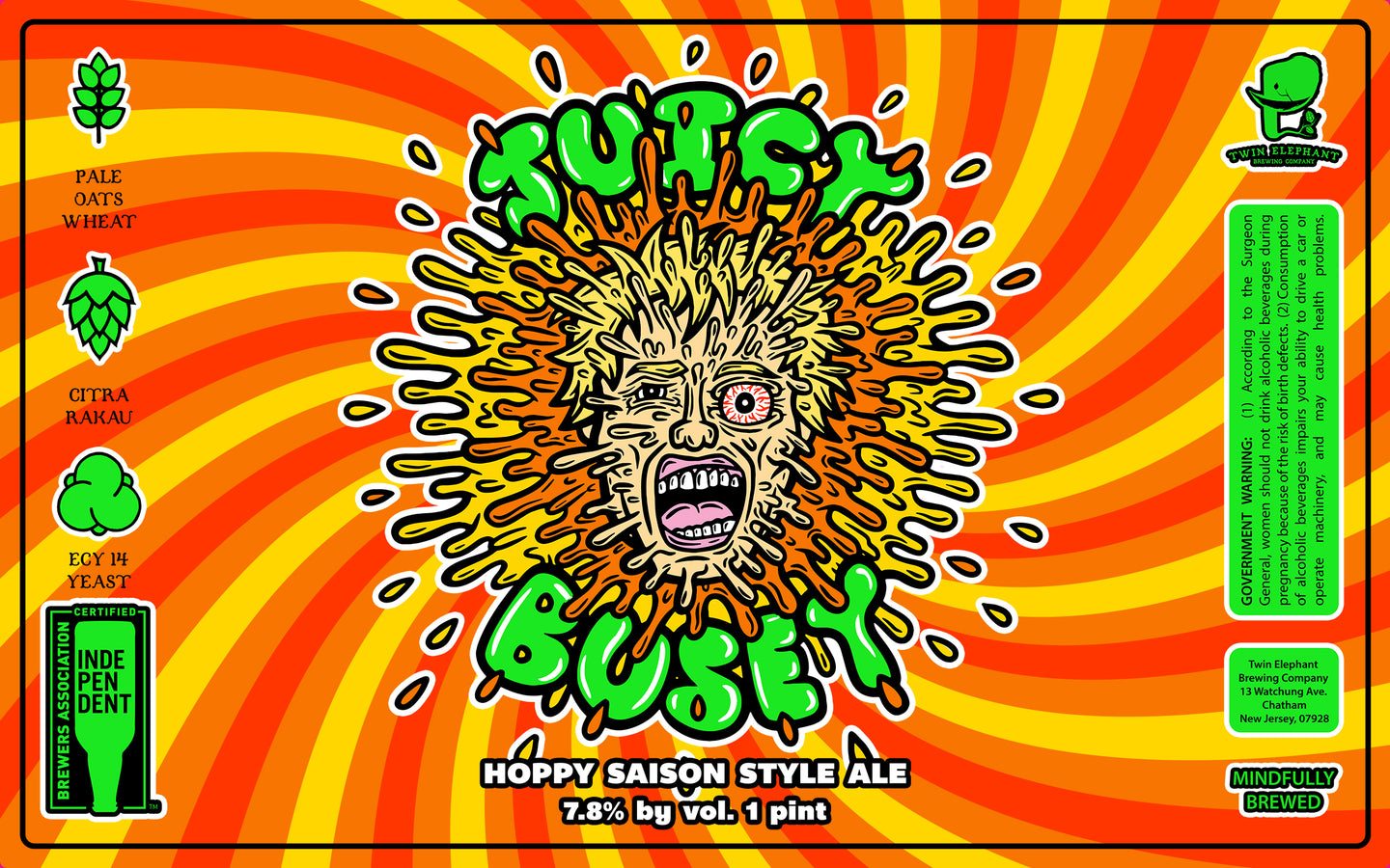 Juicy Busey: Citra & Rakau - Four Pack