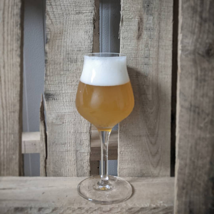 THE WAITING: PINOT NOIR POMACE | Farmhouse-Style Saison | 7.2%