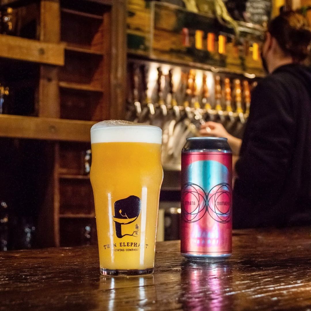 NOSH: STRATA & MOTUEKA | American DIPA | 8.4%