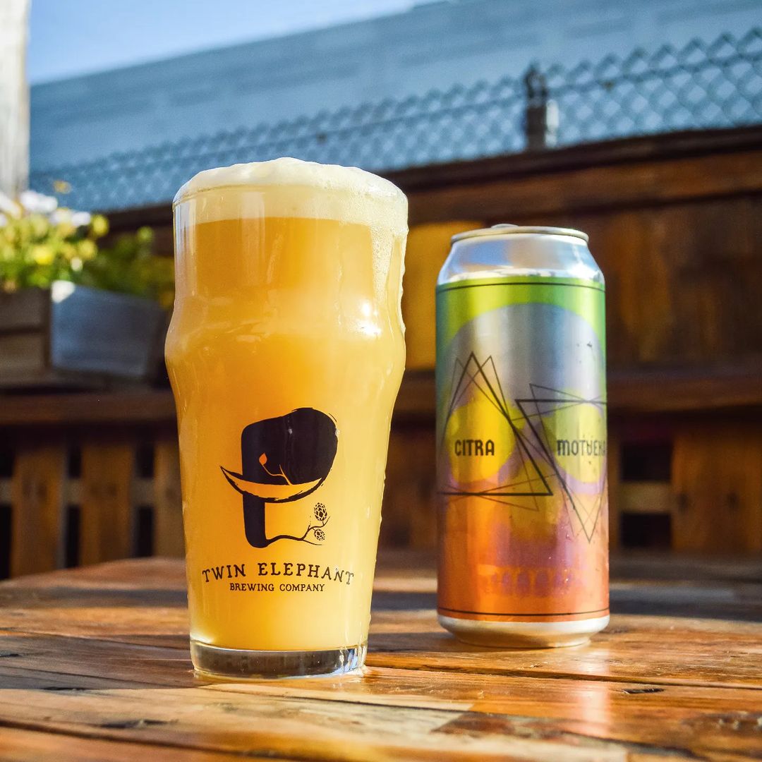NOSH: CITRA & MOTUEKA | American DIPA | 8.3%